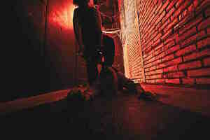 Свиное рыло