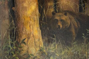 Тайга – закон, медведь – хозяин