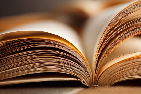 Презентация книг Александра Алтунина