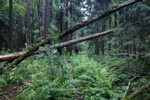 Тропы: альтернативное краеведение Тропы: альтернативное краеведение