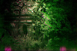 Тропы: альтернативное краеведение Тропы: альтернативное краеведение