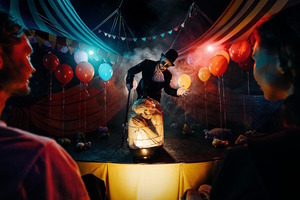 Не тот цирк