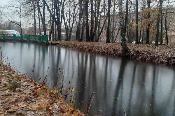 Бродящие души парка