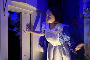 Зазеркалье: разбитая история