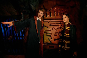 Гарри и тайная комната