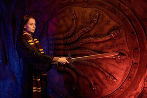 Гарри и тайная комната