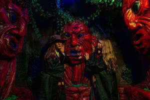 Гарри: тайна запретного леса