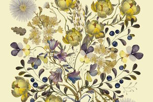 Флора и фауна России Флора и фауна России