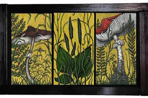 Флора и фауна России Флора и фауна России