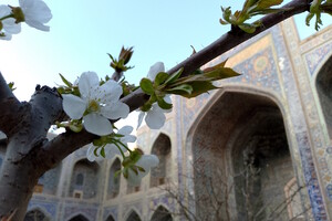 Одиссея Одиссея