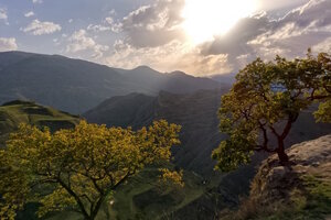 Одиссея Одиссея