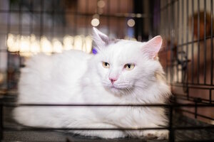 Елка дарящих надежду Елка дарящих надежду