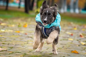 Елка дарящих надежду Елка дарящих надежду