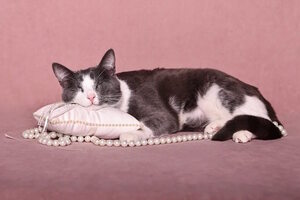 Елка дарящих надежду Елка дарящих надежду