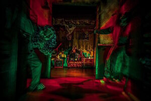 Нейропсихоз Нейропсихоз