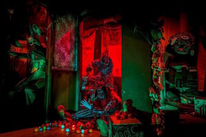 Нейропсихоз Нейропсихоз