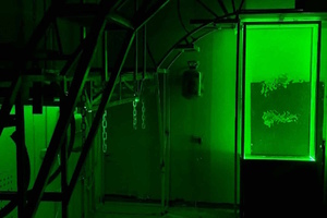 Полет на Марс Полет на Марс