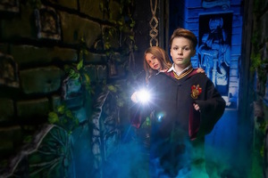 Гарри: тайны Хогвартса