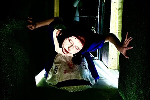 Безумие в Стране чудес