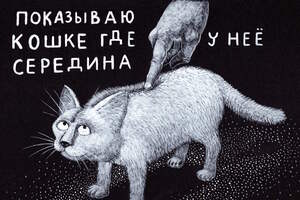 Павел Назим. Биографика