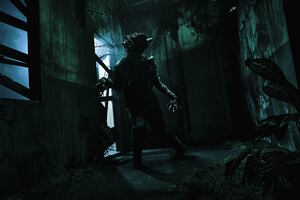 The Last of Us