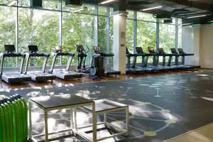 X-fit (Олимп)