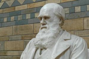 Секреты Дарвиновского музея: что, где, когда?