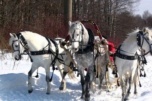 Золотая Подкова