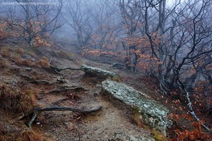 Майский мастер-класс по пейзажной фотографии в Крыму