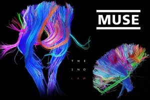 Muse