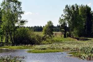 Мечта