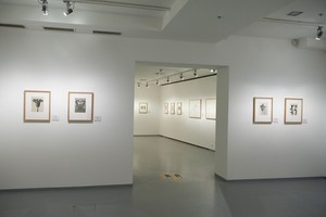 Карл Блоссфельд и Эккехард Велькен: диалоги о природе Карл Блоссфельд и Эккехард Велькен: диалоги о природе