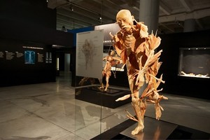 Тайны тела. Вселенная внутри