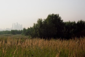 Фотопрогулки в Крылатском