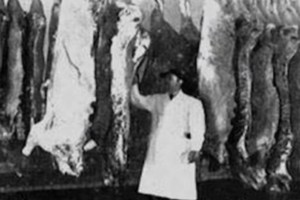 Cold Meat Industry