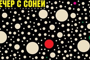 ЗИМНИЙ ВЕЧЕР С СОНЕЙ