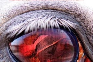 Место действия — душа