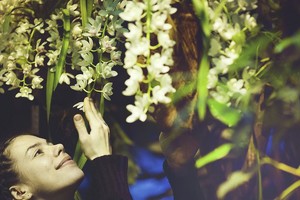 Тропическая зима Тропическая зима