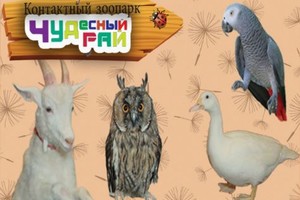 Детский зоопарк «Чудесный рай»