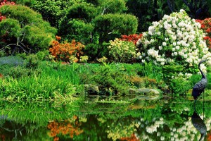 экспресс-курс «Ландшафтный дизайн»