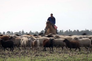 Премьера фильма «Хозяин земли»