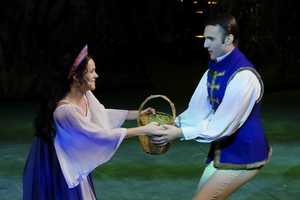 Леди Акулина