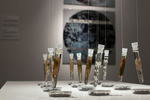 Илья Федотов-Фёдоров. Человек разумный о