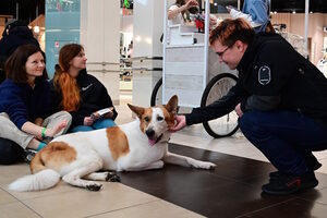 Путь домой Путь домой