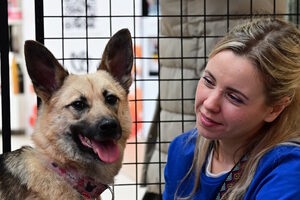 Путь домой Путь домой