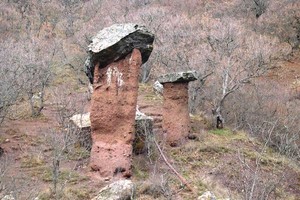 Каменные грибы