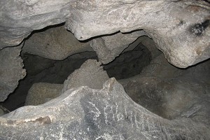 Змеиная