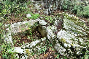 Каменные ящики