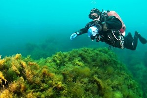 Black Sea Divers