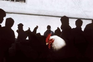 Мастер-класс Георгия Пинхасова